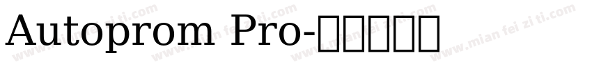 Autoprom Pro字体转换